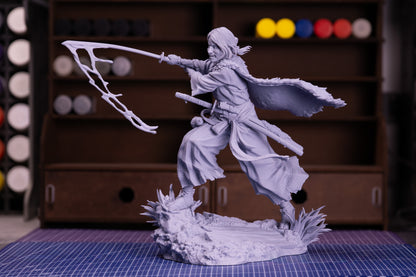 Straw-Hat Samurai Ronin