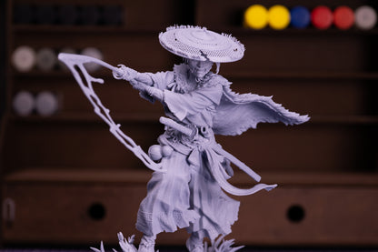 Straw-Hat Samurai Ronin
