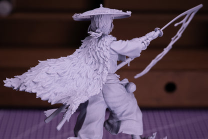 Straw-Hat Samurai Ronin