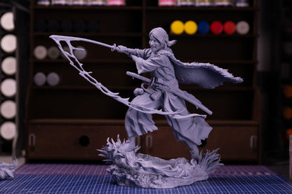 Straw-Hat Samurai Ronin