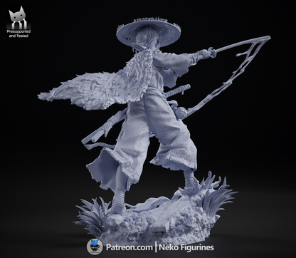 Straw-Hat Samurai Ronin