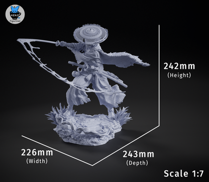 Straw-Hat Samurai Ronin