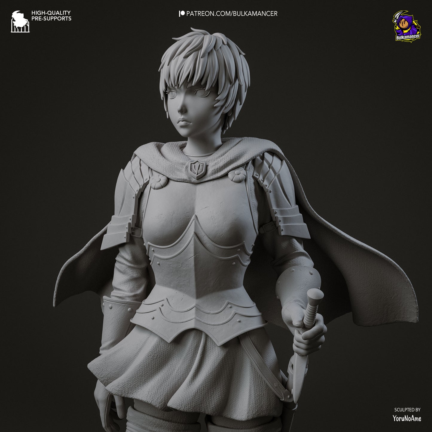 Crimson-Caped Female Knight