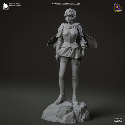 Crimson-Caped Female Knight
